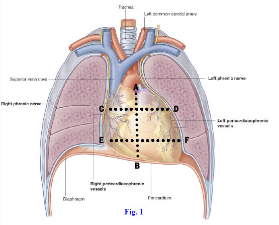 Fig 8-1